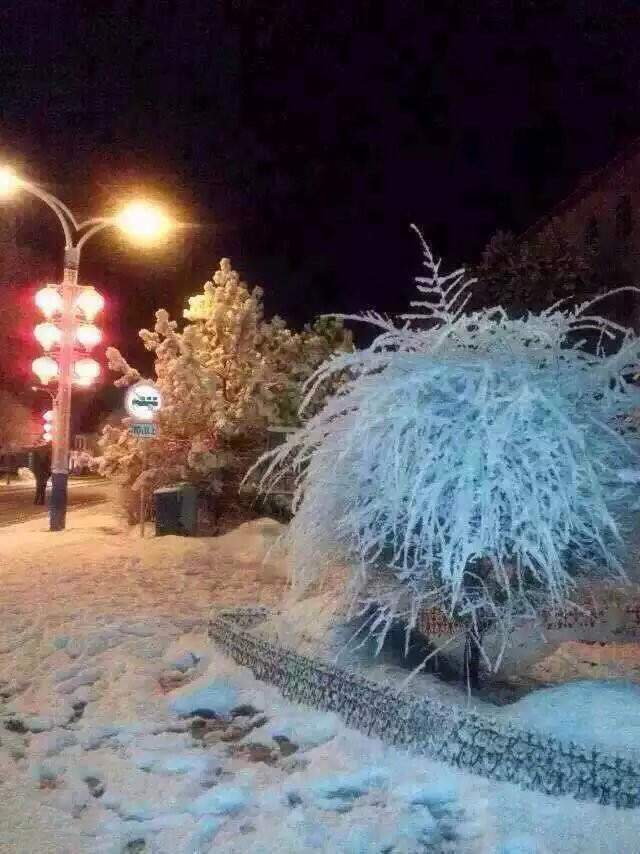 ѩ֮